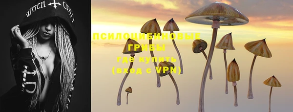 СК Няндома