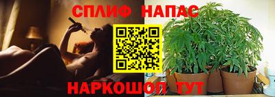 скорость Кимры