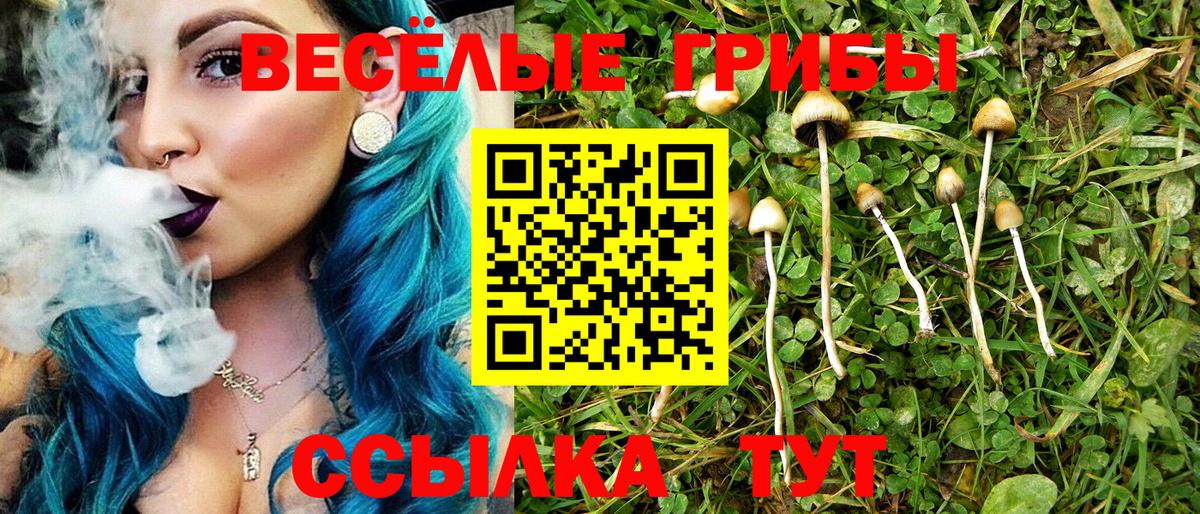 Галлюциногенные грибы Psilocybe  Псилоцибиновые грибы мицелий  Вход с VPN  Заинск 
